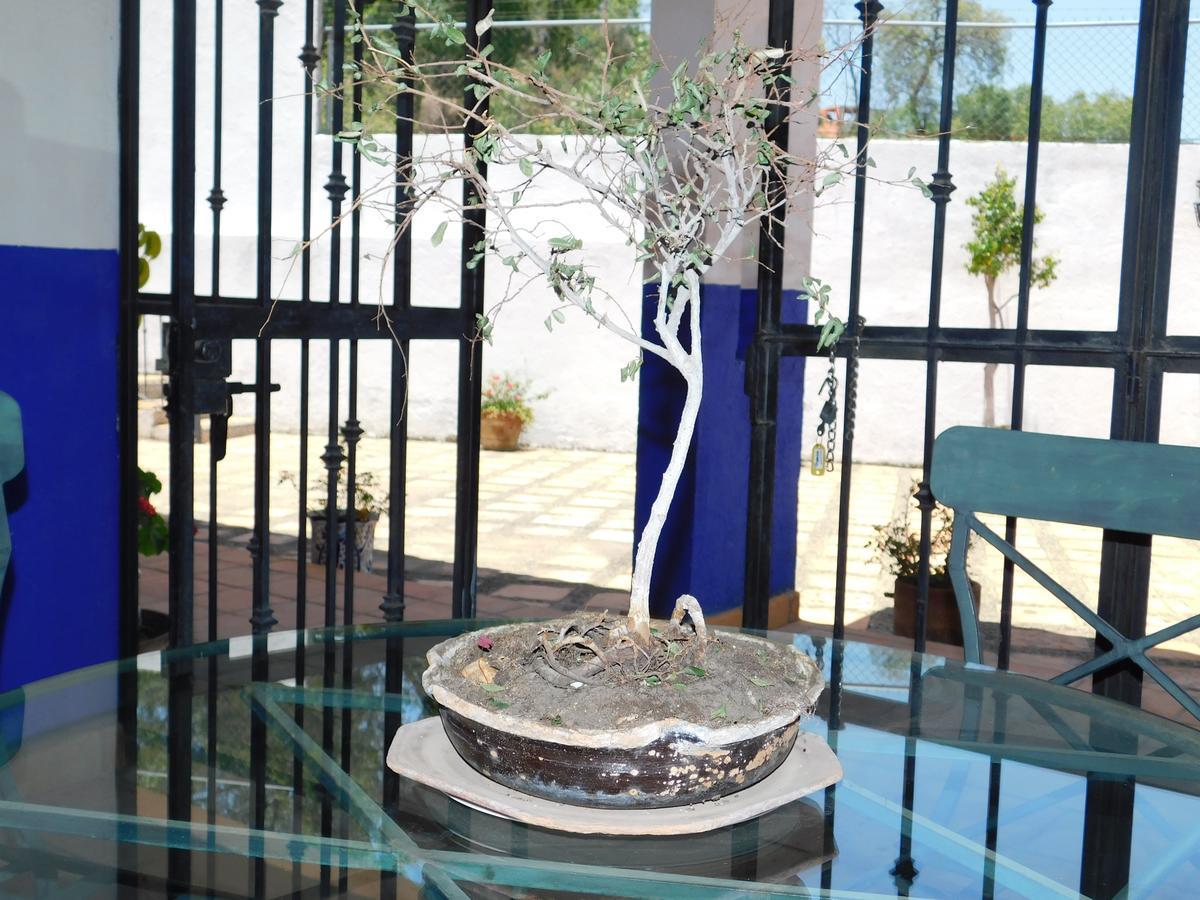 Casa Erizo 39 (Adults Only) Hotel Guanajuato Exterior foto